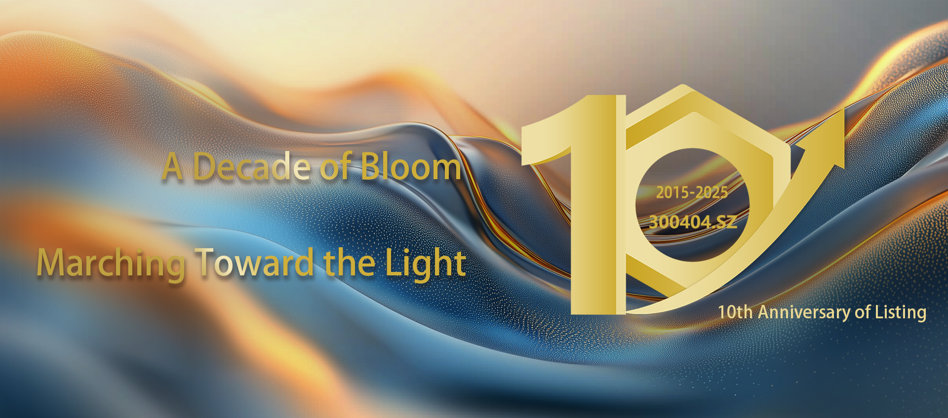 十载芳华 向光而行