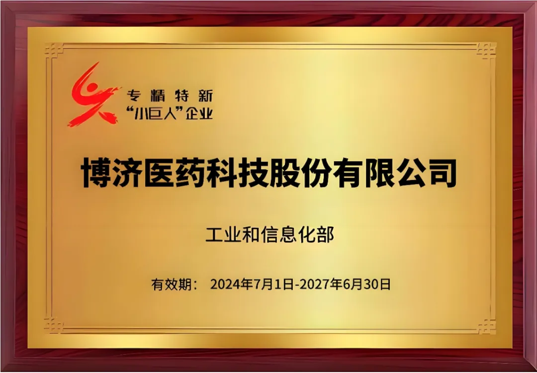 National-level Specialized, Refined, Distinctive, and Innovative “Little Giant” Enterprise