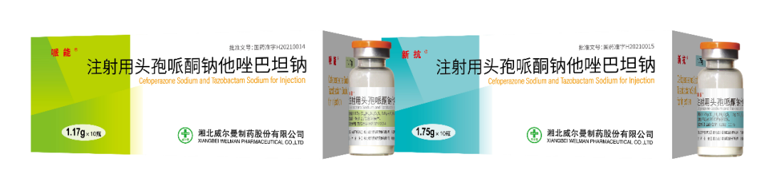 Assisted in the successful approval and market launch of Cefoperazone Sodium and Azobate Sodium for Injection (6:1)