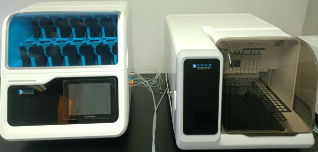 Transdermal Pharmacokinetics Studies