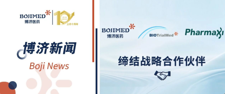 Empowering Overseas Innovation! Boji Medical Technology, Together with Its Subsidiaries, Forms Strategic Partnership with Europe’s Pharmaxi