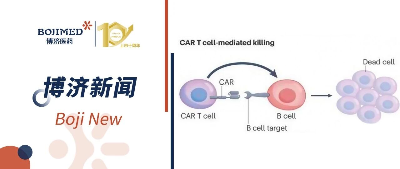 Boji Medical Provides Full-Program Support as Arnovie101 Shows Positive Early Clinical Signals with Favorable Efficacy and Safety Profile